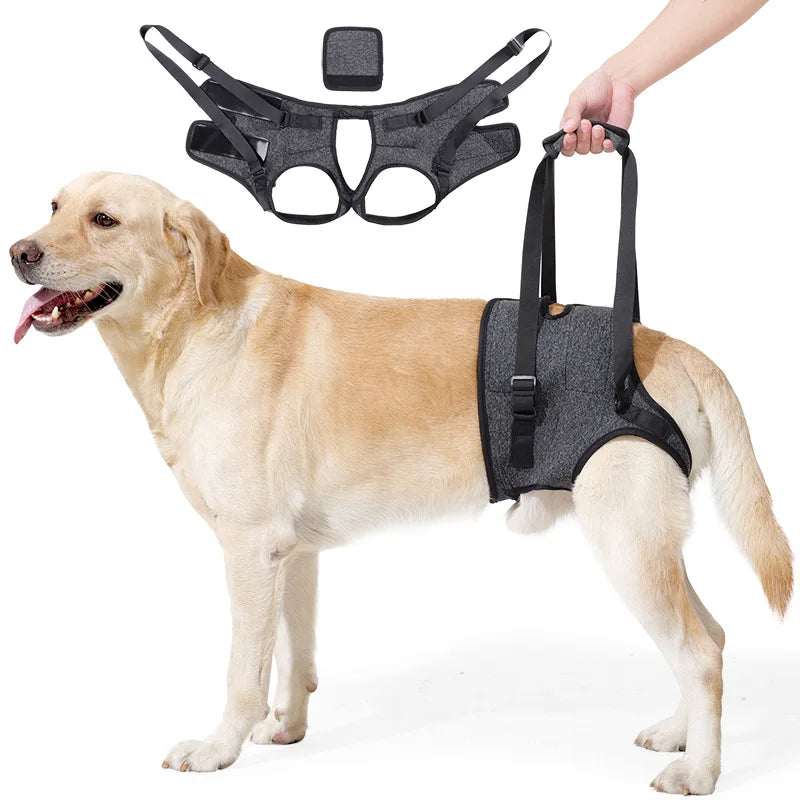 Arnês De Elevação Para Cães De Grande Porte