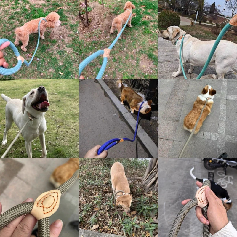 Trela Ideal Para Treinos