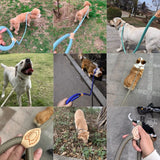 Trela Ideal Para Treinos