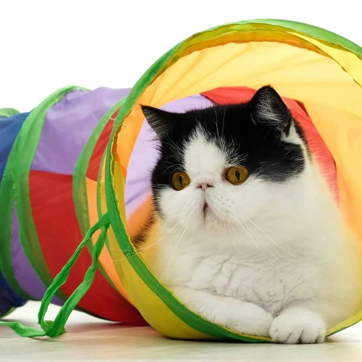 Túnel Para Gatos