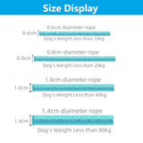 Trela Ideal Para Treinos