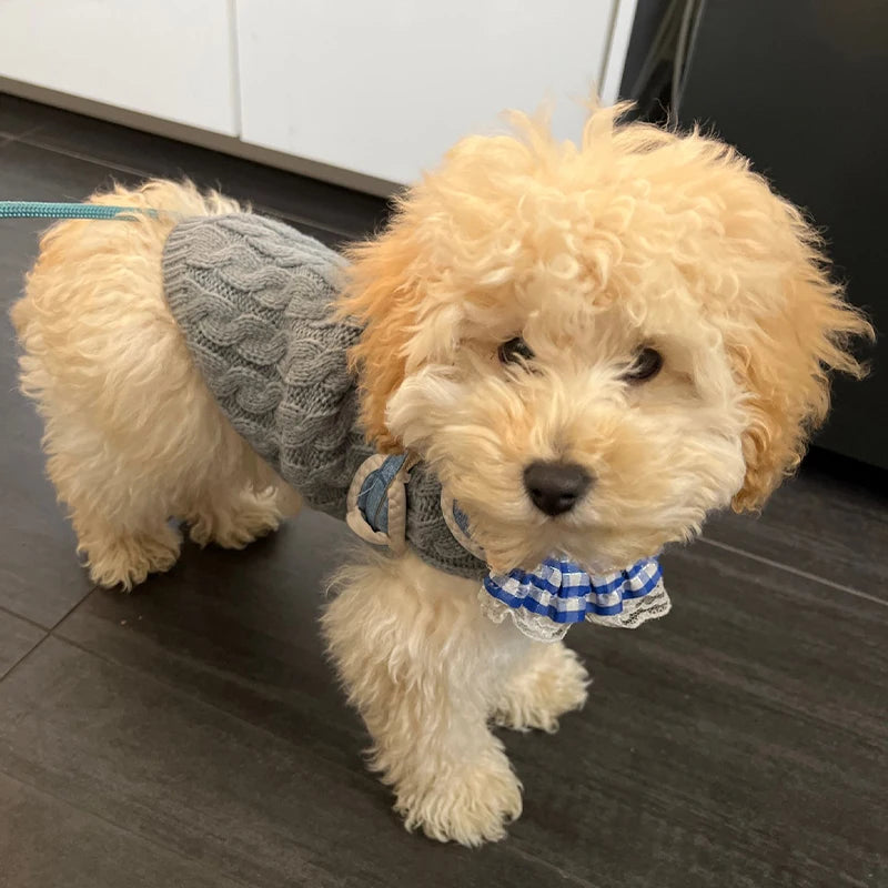 Roupa De Tricô Para Cachorro e Gatos