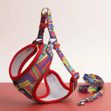 Peitoral Cão Pequeno