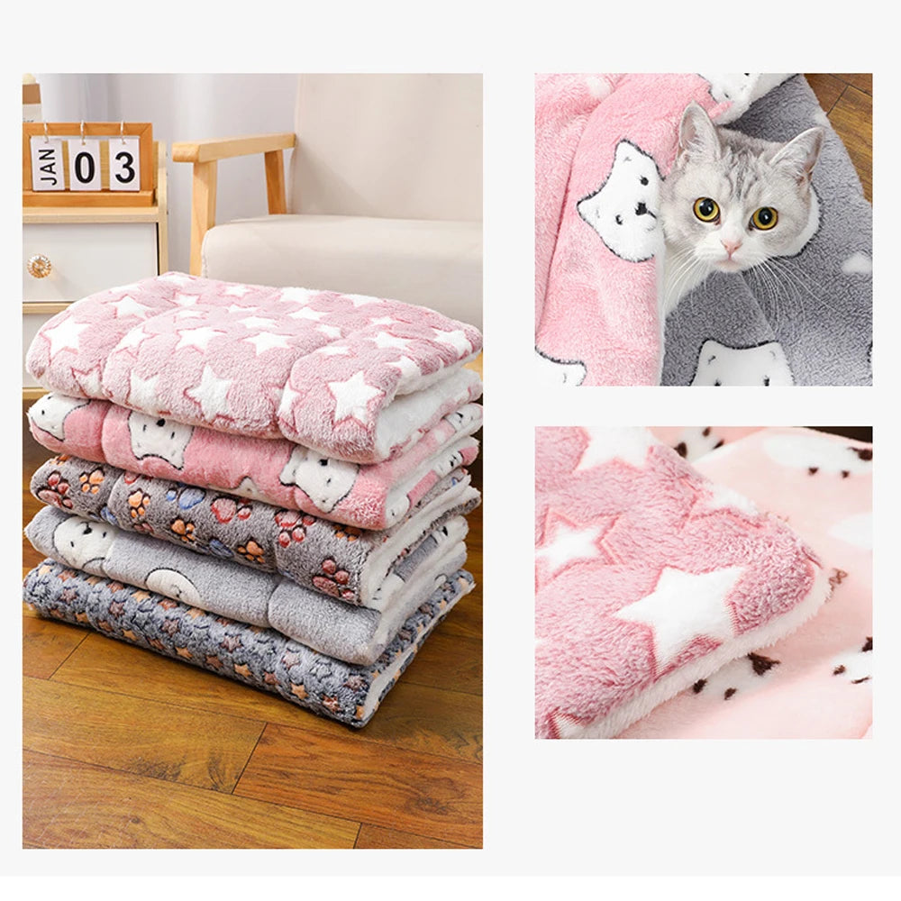Cama Semi Pro