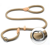 Trela Ideal Para Treinos