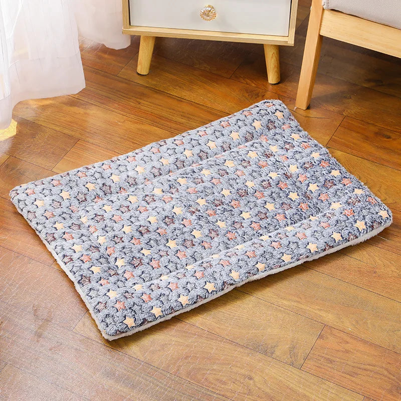 Cama Semi Pro