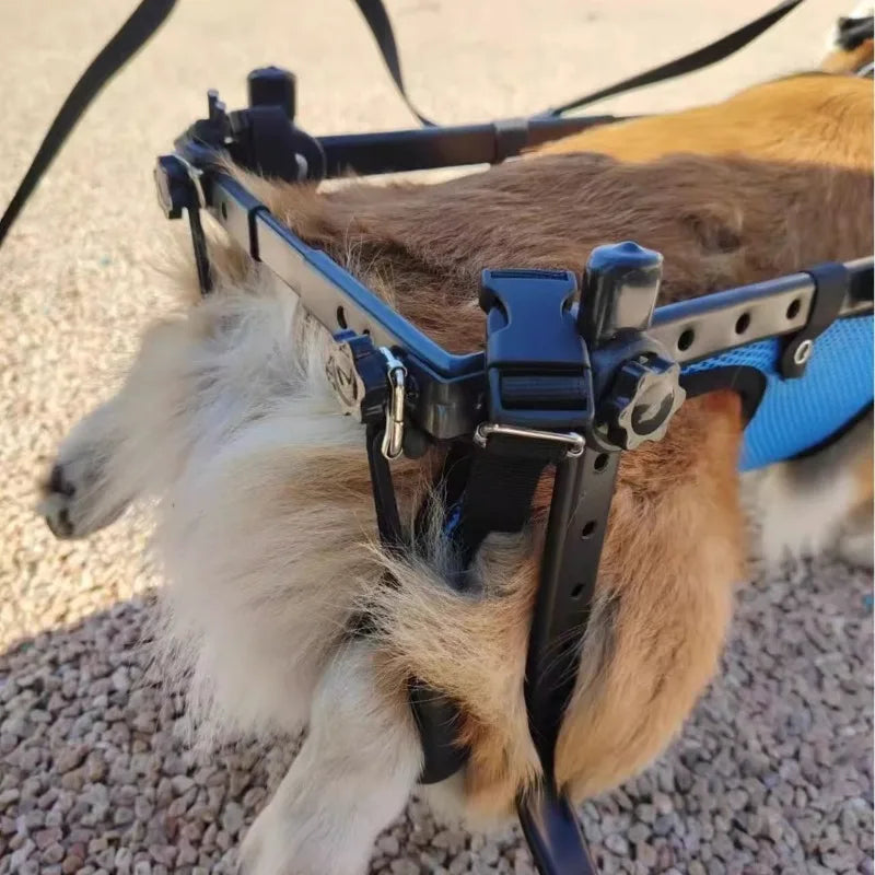 Cadeira De Rodas Para Cachorro