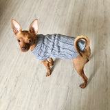 Roupa De Tricô Para Cachorro e Gatos