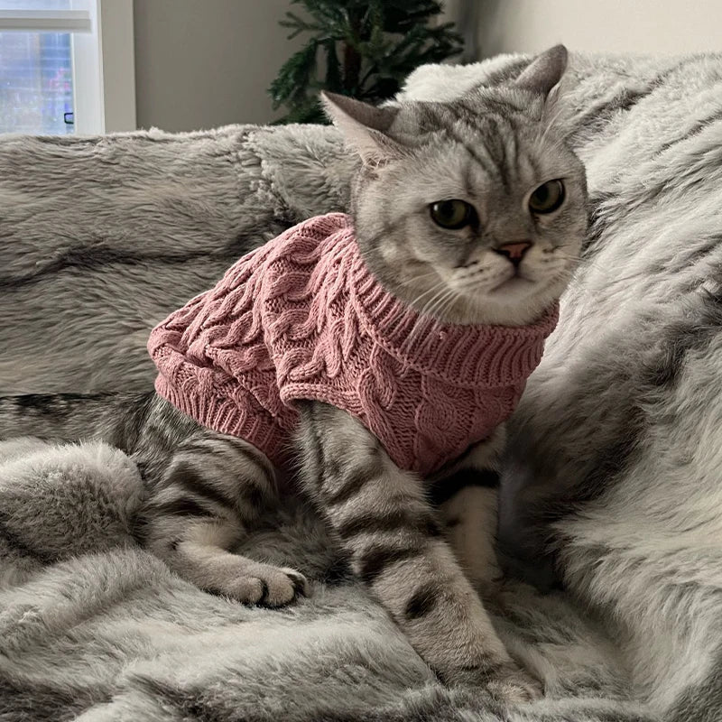 Roupa De Tricô Para Cachorro e Gatos