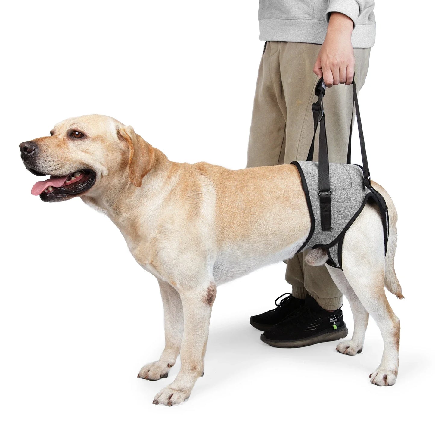 Arnês De Elevação Para Cães De Grande Porte