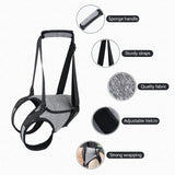 Arnês De Elevação Para Cães De Grande Porte