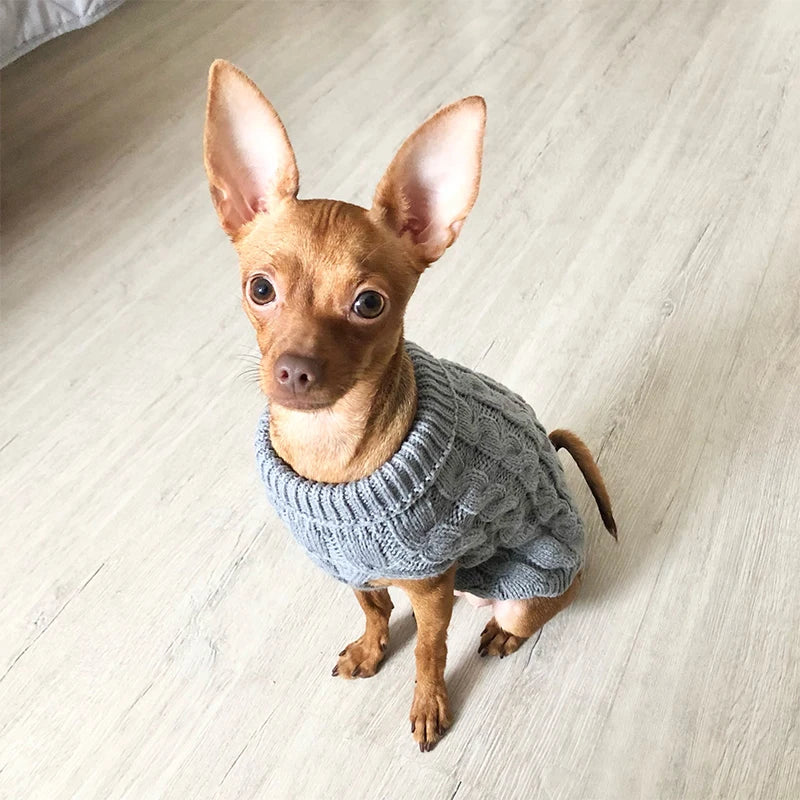 Roupa De Tricô Para Cachorro e Gatos
